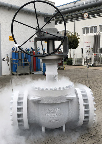 cryogenic-top-entry